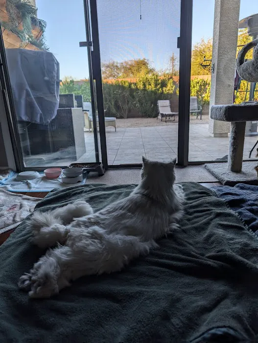 Happy Endings In Home Pet Euthanasia Picture 2