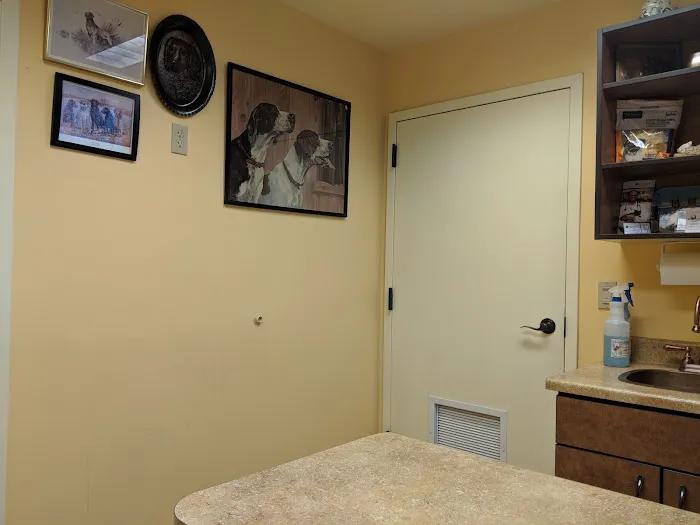 North Kenilworth Veterinary Care Picture 7