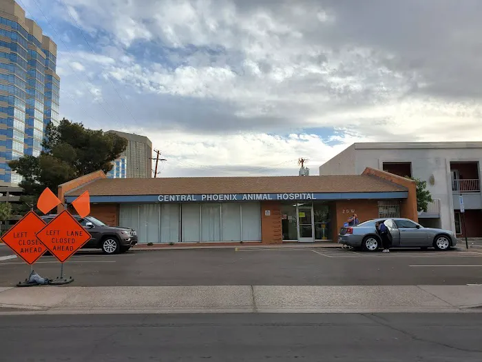 Central Phoenix Animal Hospital Picture 2