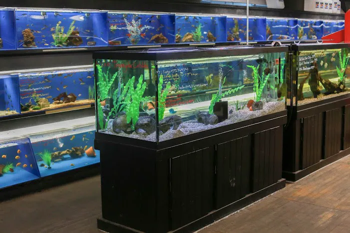 The Ocean Floor Picture 6