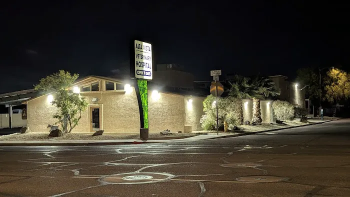 Alta Vista Veterinary Hospital Picture 8