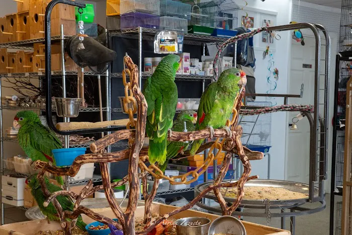 VCM Bird Land, Bird Store Picture 10