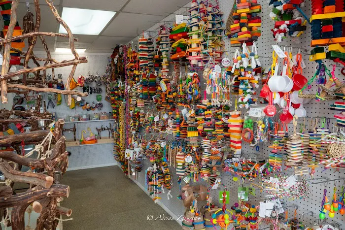 VCM Bird Land, Bird Store Picture 2