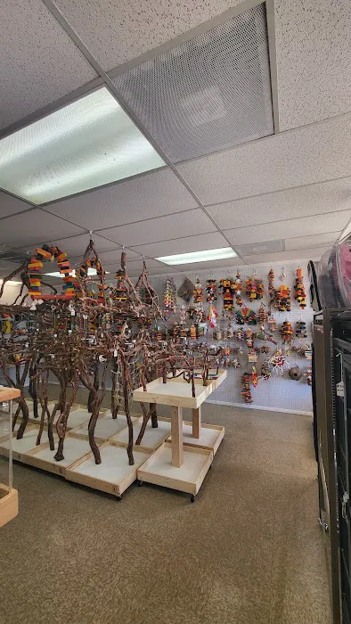 VCM Bird Land, Bird Store Picture 9