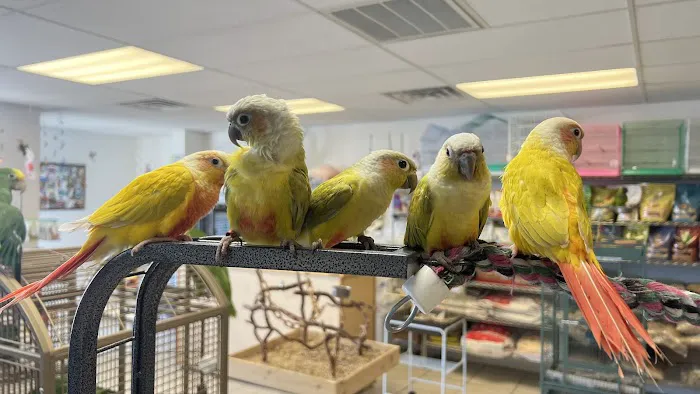 VCM Bird Land, Bird Store Picture 3