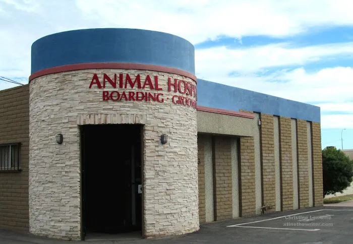 Christown Animal Hospital Picture 2