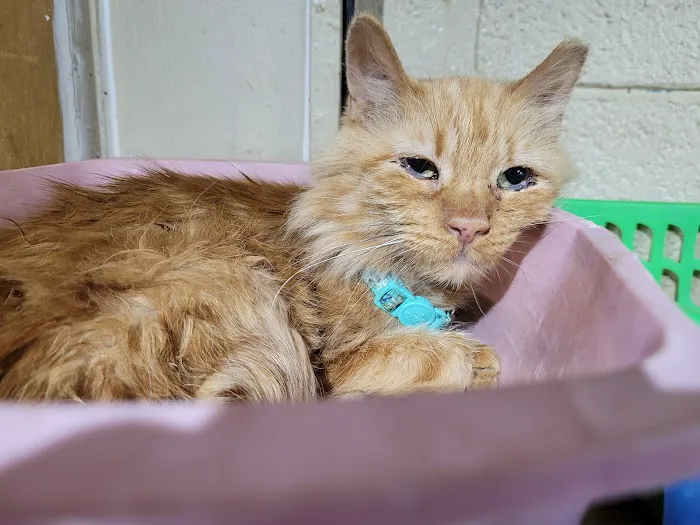 Van Aken Pet Hospital Picture 8