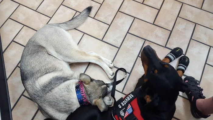 Van Aken Pet Hospital Picture 2