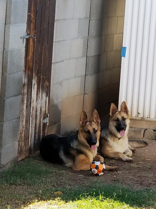 Van Aken Pet Hospital Picture 10
