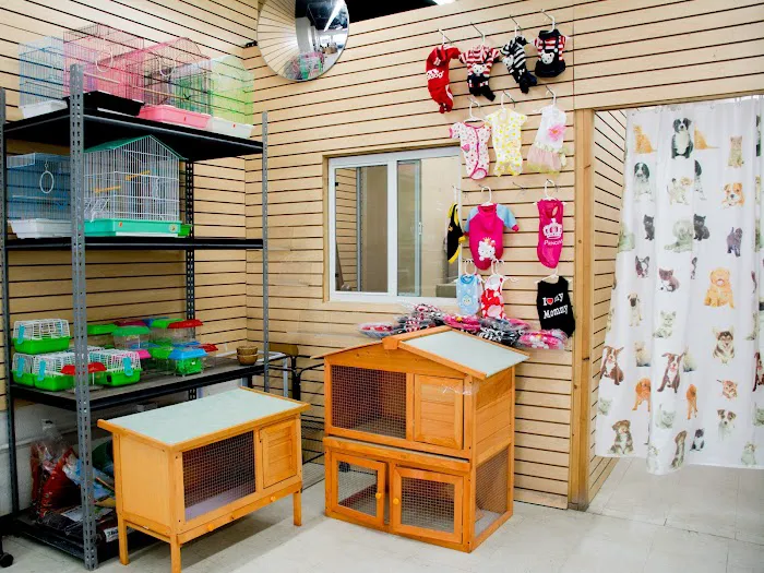 Tweety Brothers Pet Shop Picture 8