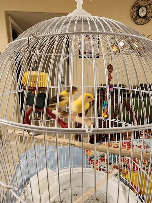 Tweety Brothers Pet Shop Picture 7