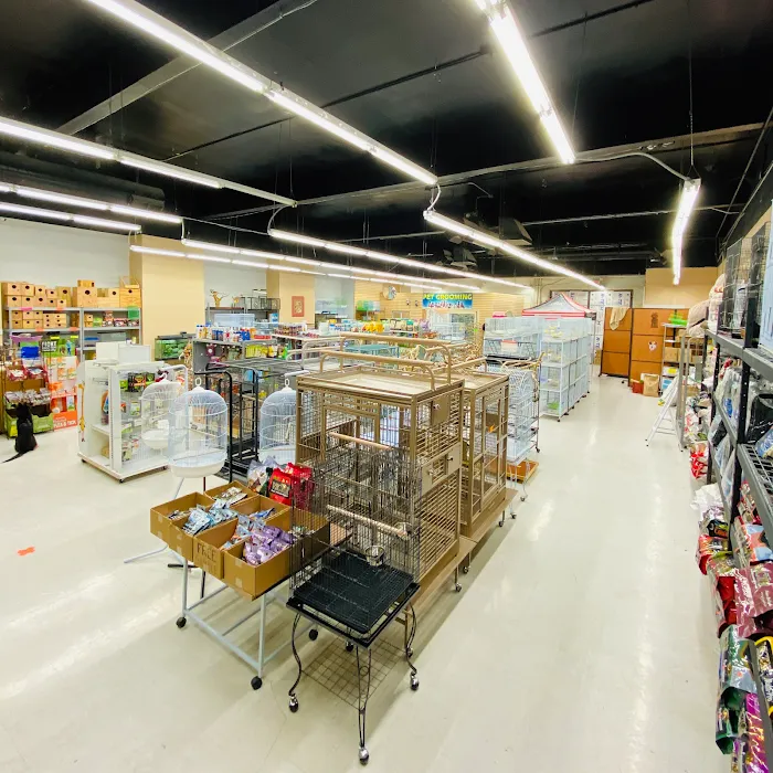 Tweety Brothers Pet Shop Picture 2