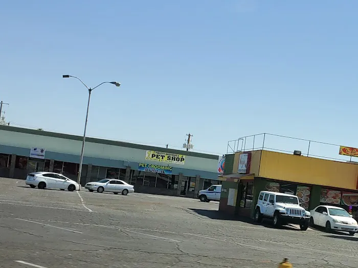 Tweety Brothers Pet Shop Picture 10