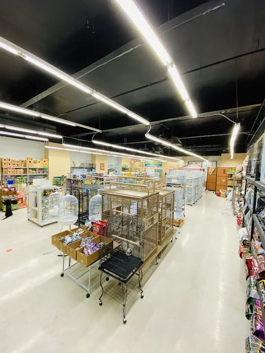 Tweety Brothers Pet Shop Picture 3
