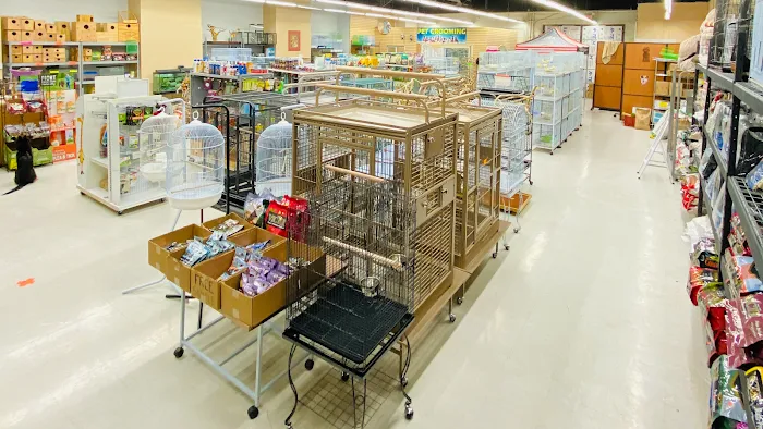 Tweety Brothers Pet Shop Picture 5