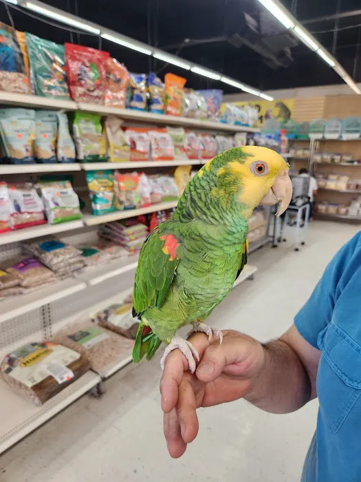 Tweety Brothers Pet Shop Picture 1