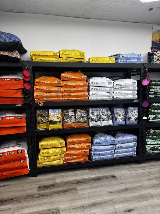 Steady’s Petshop Picture 1