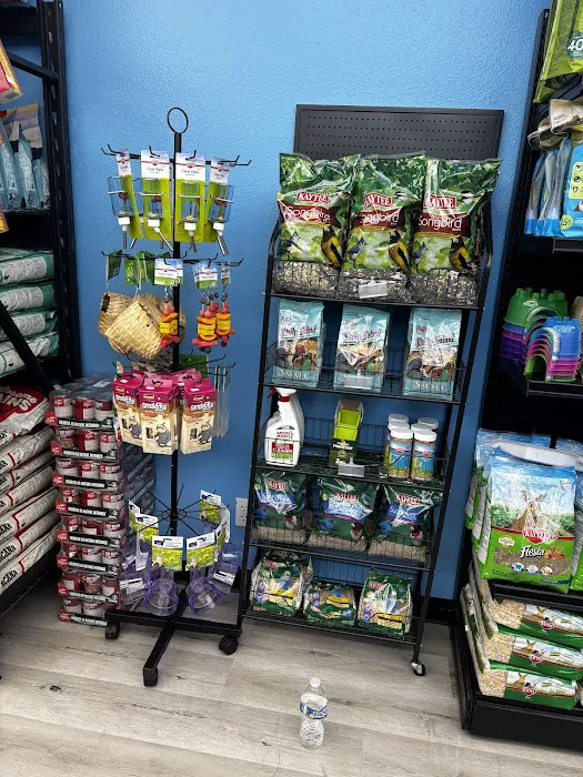 Steady’s Petshop Picture 10