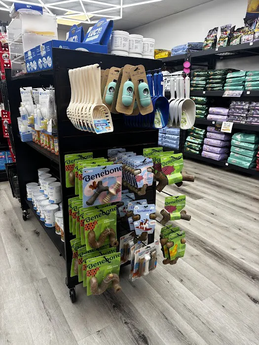 Steady’s Petshop Picture 4