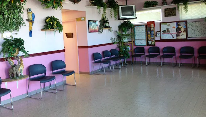 Santis Pet Clinic Picture 3