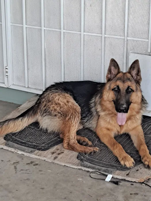 Santis Pet Clinic Picture 6