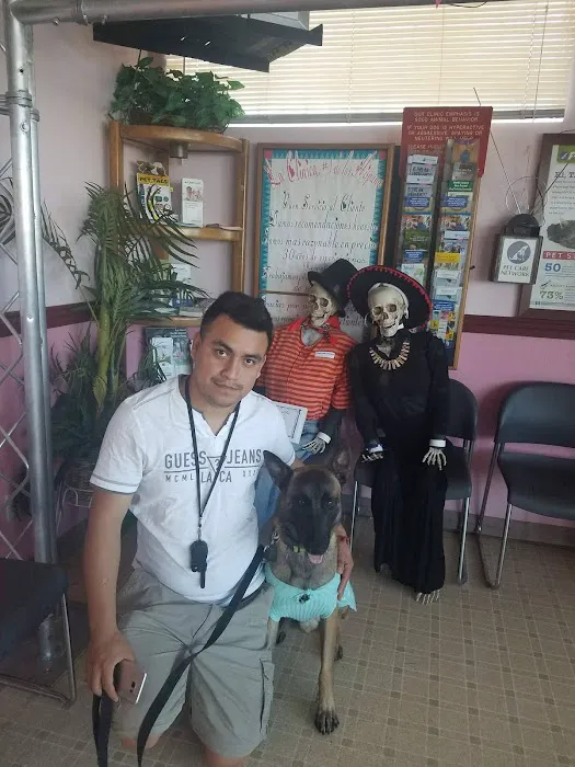 Santis Pet Clinic Picture 9