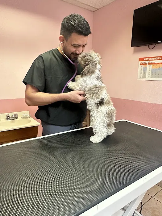 Santis Pet Clinic Picture 8