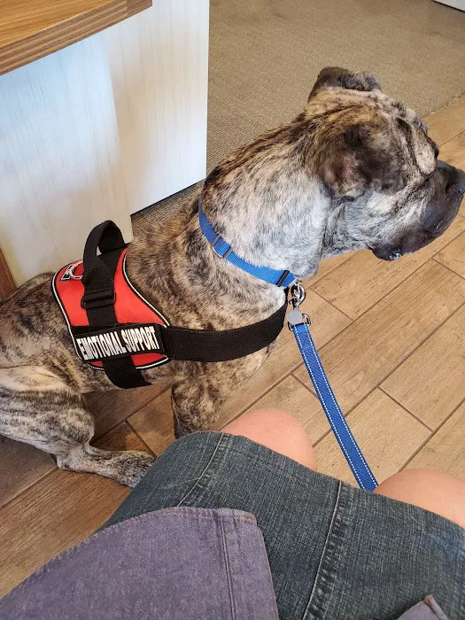Banfield Pet Hospital Picture 10