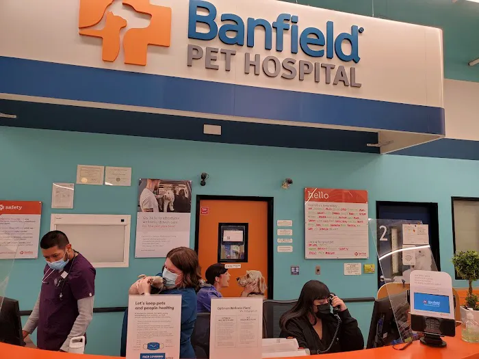 Banfield Pet Hospital Picture 9