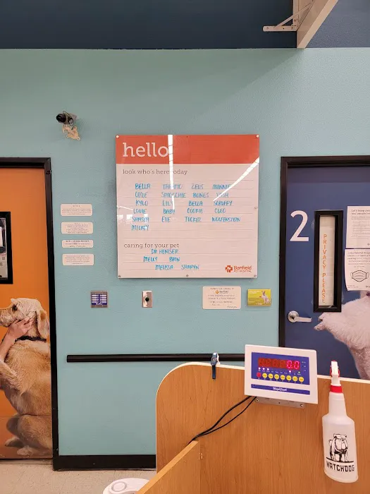 Banfield Pet Hospital Picture 6