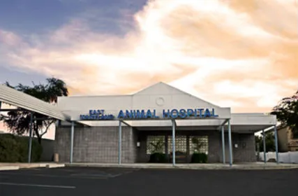 East Maryland Animal Hospital Picture 2