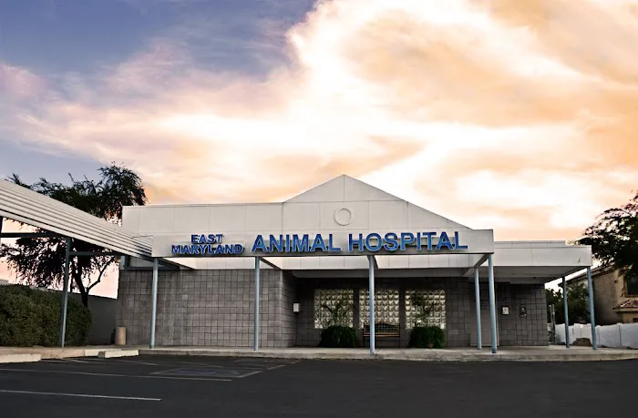East Maryland Animal Hospital Picture 5