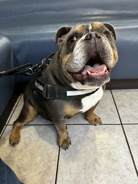 East Maryland Animal Hospital Picture 6