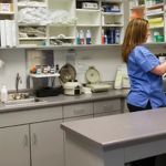 East Maryland Animal Hospital