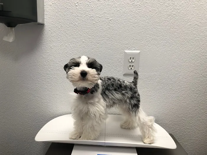 Harmony Veterinary Hospital Picture 1
