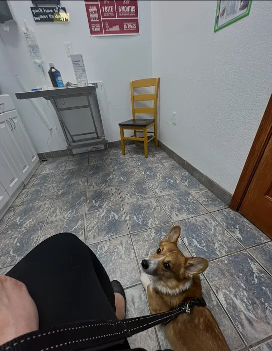 Harmony Veterinary Hospital Picture 8
