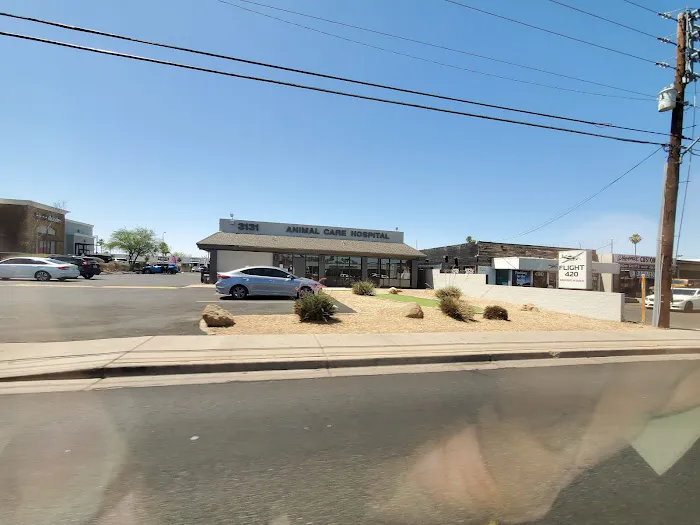 Animal Care Hospital of Phoenix Picture 6
