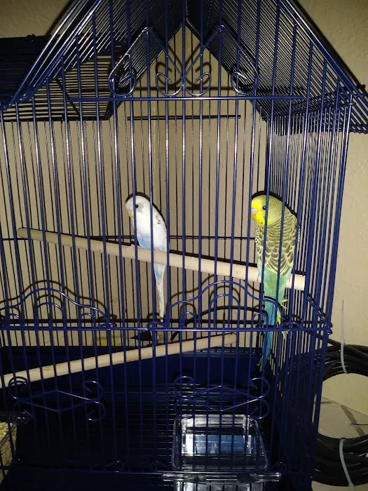 Petco Picture 7
