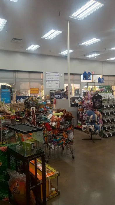 Petco Picture 1