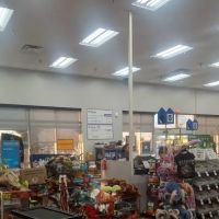 Petco ico