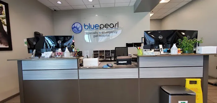 BluePearl Pet Hospital Picture 1