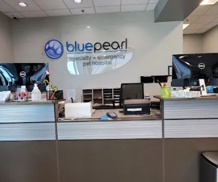 BluePearl Pet Hospital