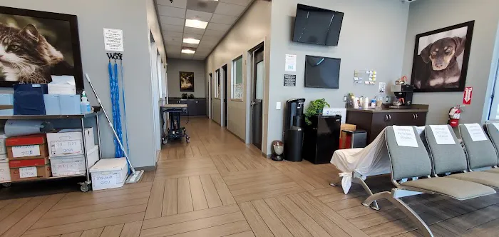 BluePearl Pet Hospital Picture 3