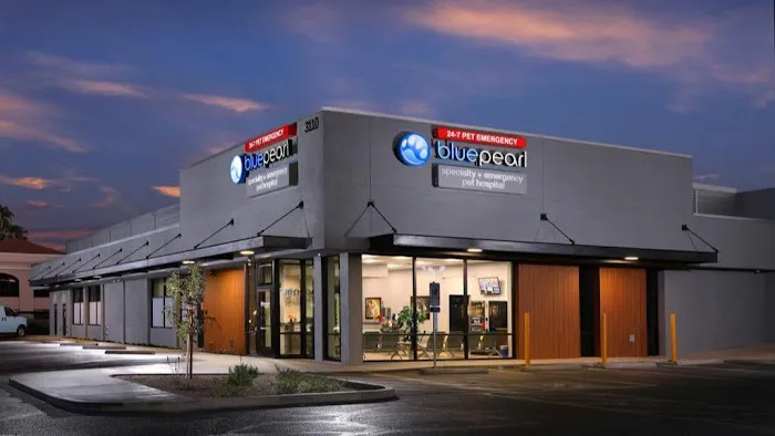 BluePearl Pet Hospital Picture 2