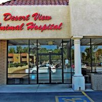 Desert View Animal Hospital ico