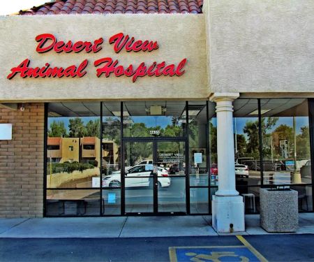 Desert View Animal Hospital