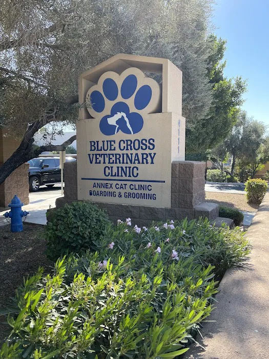Blue Cross Veterinary Clinic Picture 7
