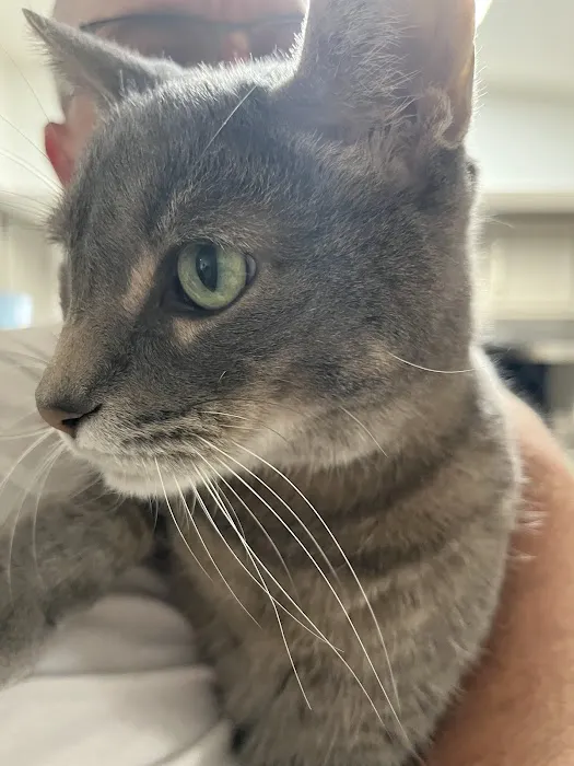 Blue Cross Veterinary Clinic Picture 5