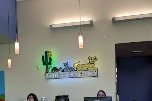 Auto Service Center
