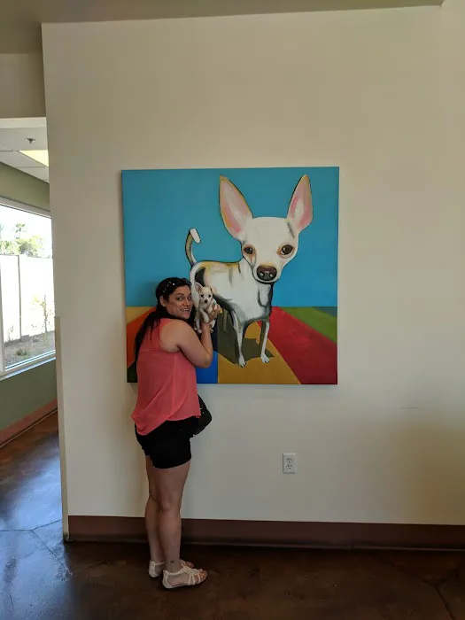 Ingleside Animal Hospital Picture 3